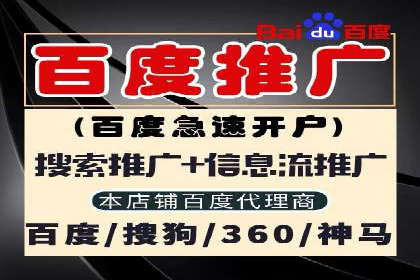 SEM推广策略：实战案例解析